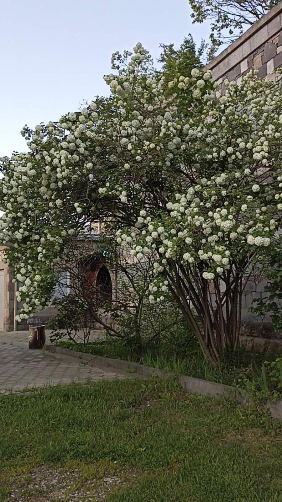 Luse Guest House Ijevan Eksteriør billede